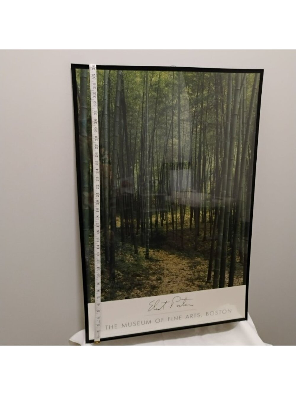 Vintage Eliot Porter Framed Bamboo Forest Museum Poster - 36" Large Wall Art - Picture 6 of 9
